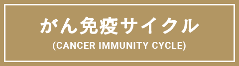 がん免疫サイクルとがん免疫逃避