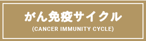 がん免疫サイクルとがん免疫逃避